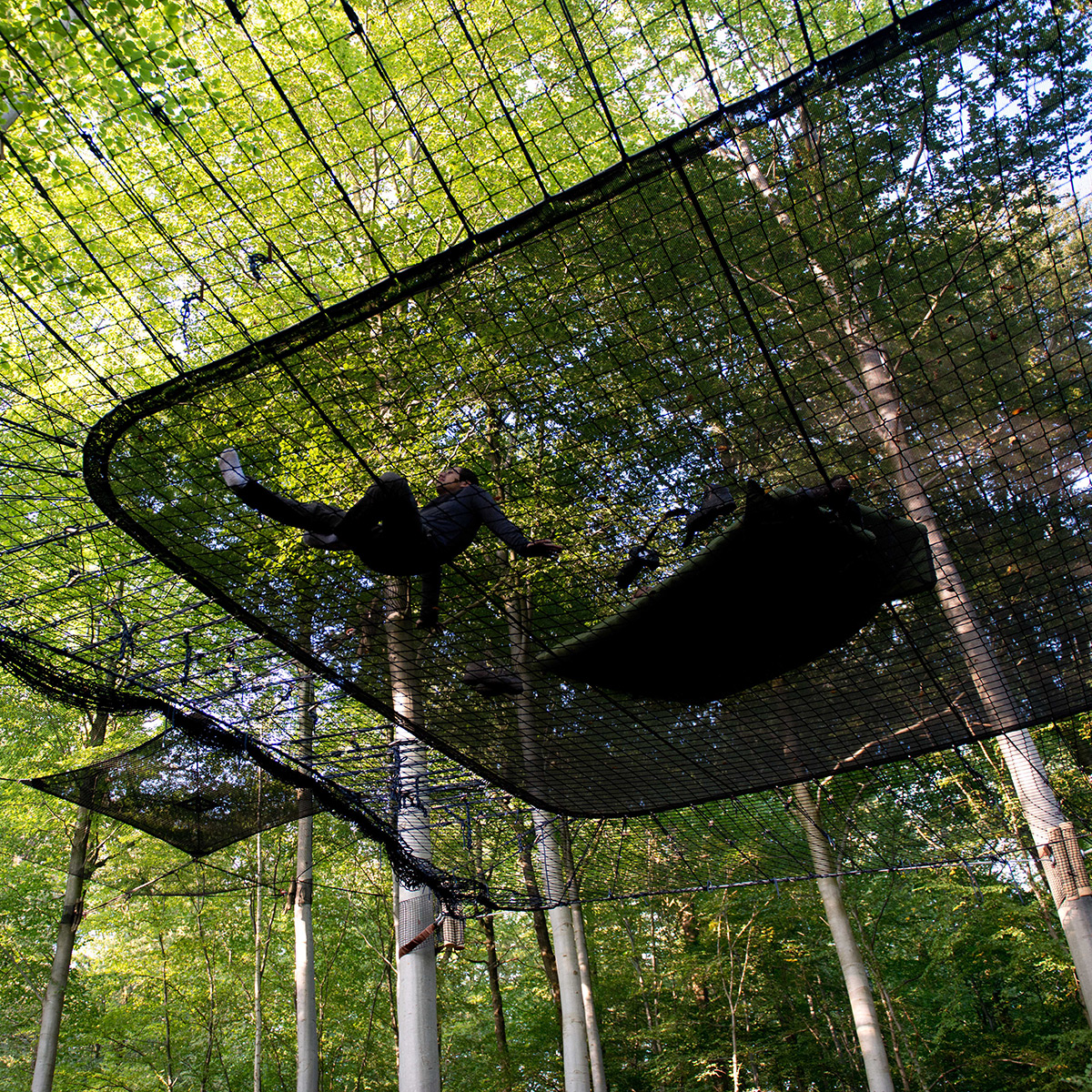 treesandpeople.com nest