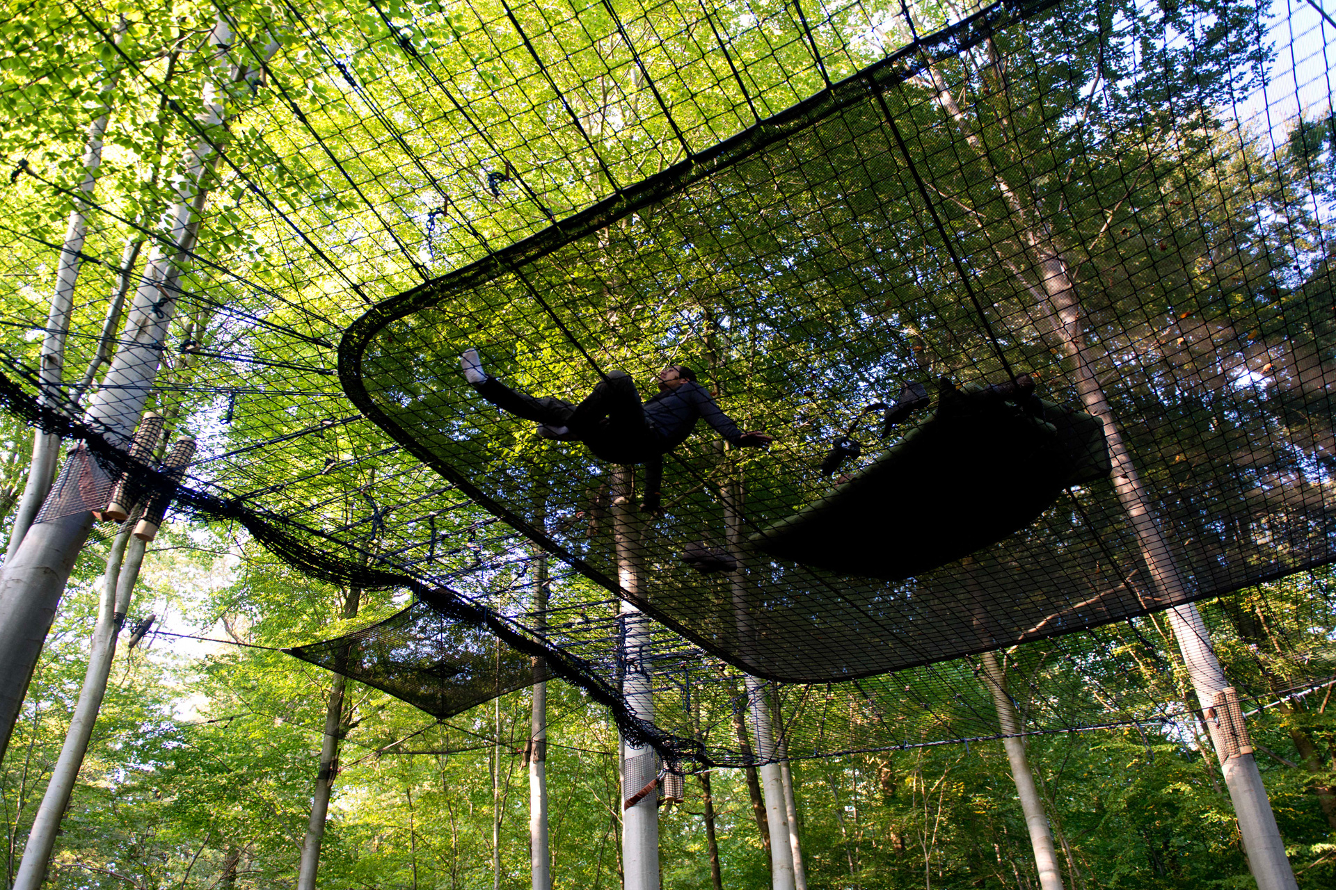 Parcs forestiers périurbains : la ludopédagogie au service d’une mission d’utilité publique treesandpeople.com parcs forestiers périurbains ludopédagogie au service d'une mission d'utilité publique